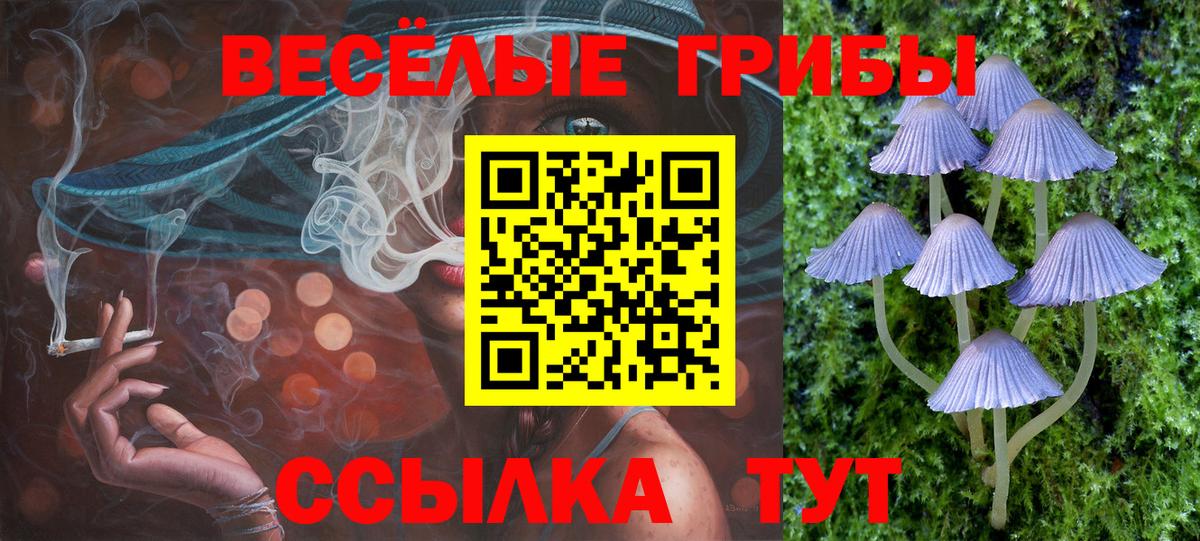 Псилоцибиновые грибы мицелий  Галлюциногенные грибы мицелий  Петропавловск-Камчатский  Вход с VPN 